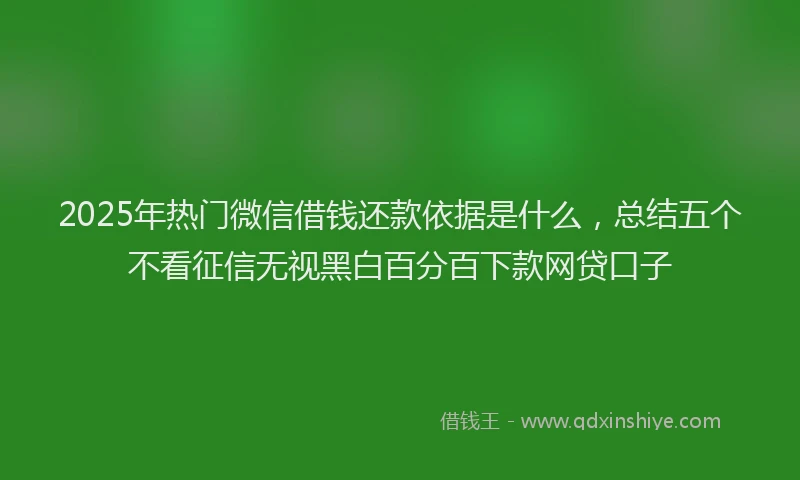 2025年热门微信借钱还款依据是什么，总结五个不看征信无视黑白百分百下款网贷口子
