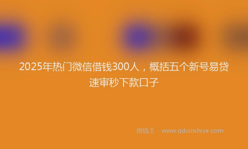 2025年热门微信借钱300人,概括五个新号易贷速审秒下款口子