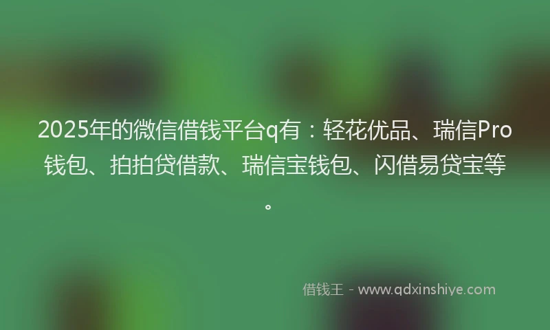 2025年的微信借钱平台q有:轻花优品、瑞信Pro钱包、拍拍贷借款、瑞信宝钱包、闪借易贷宝等。