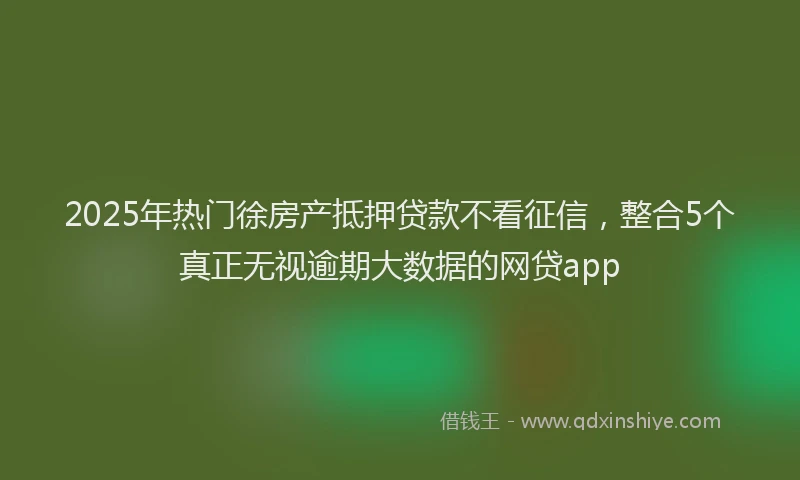 2025年热门徐房产抵押贷款不看征信，整合5个真正无视逾期大数据的网贷app