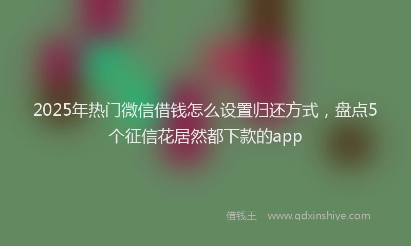 2025年热门微信借钱怎么设置归还方式，盘点5个征信花居然都下款的app