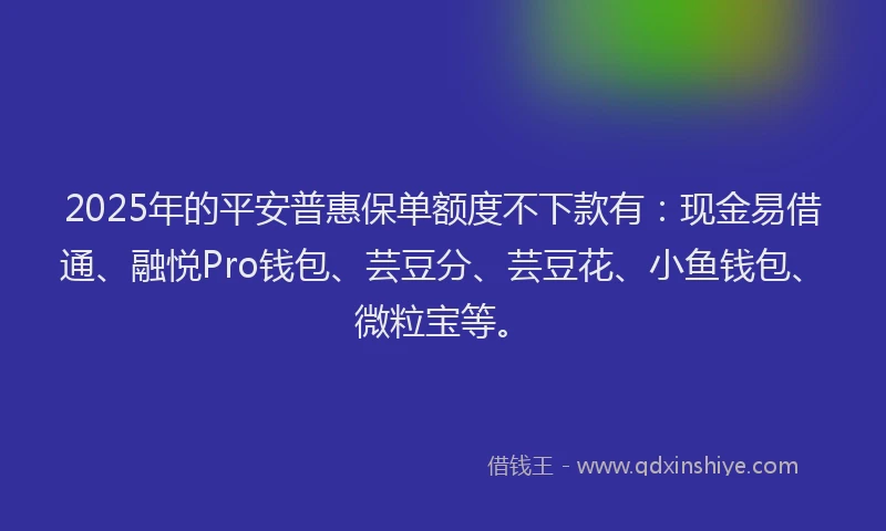 2025年的平安普惠保单额度不下款有：现金易借通、融悦Pro钱包、芸豆分、芸豆花、小鱼钱包、微粒宝等。
