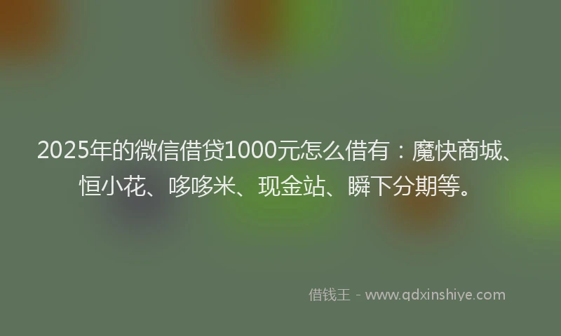 2025年的微信借贷1000元怎么借有：魔快商城、恒小花、哆哆米、现金站、瞬下分期等。