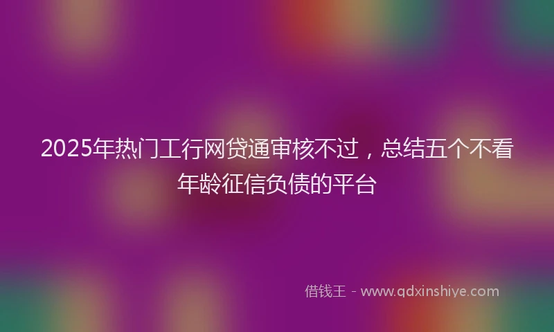 2025年热门工行网贷通审核不过，总结五个不看年龄征信负债的平台