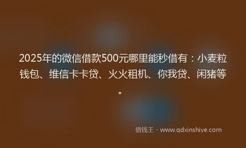 2025年的微信借款500元哪里能秒借有：小麦粒钱包、维信卡卡贷、火火租机、你我贷、闲猪等。