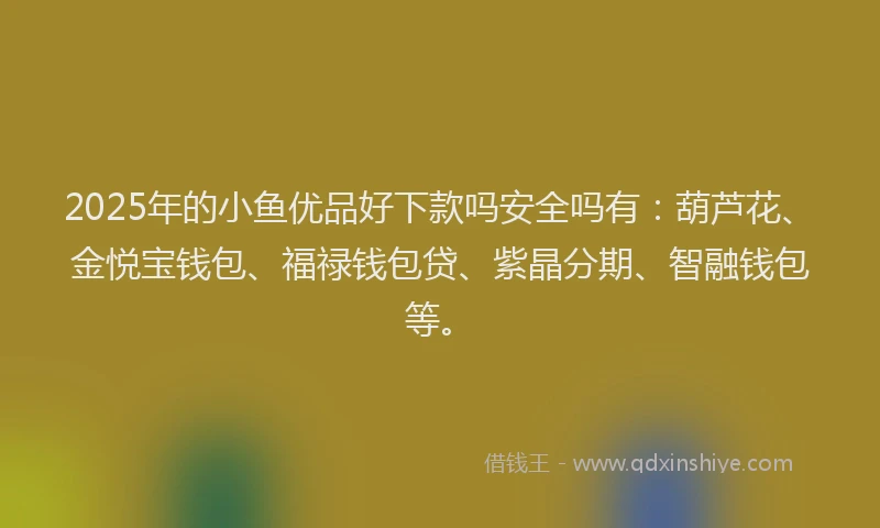2025年的小鱼优品好下款吗安全吗有：葫芦花、金悦宝钱包、福禄钱包贷、紫晶分期、智融钱包等。