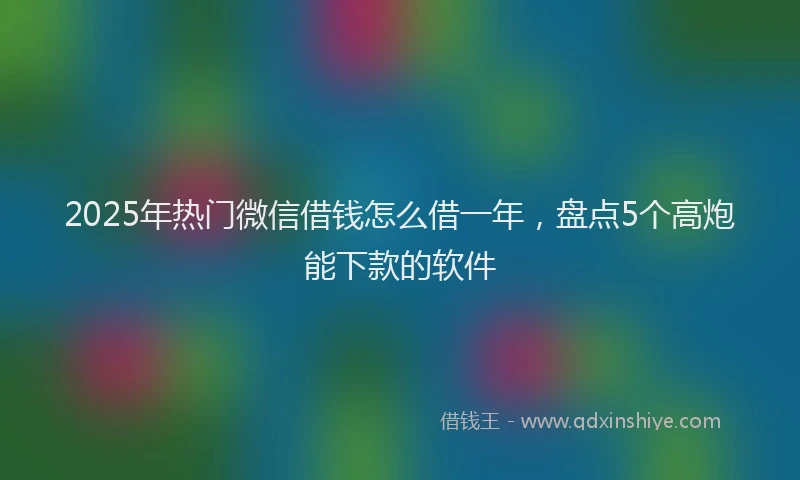 2025年热门微信借钱怎么借一年，盘点5个高炮能下款的软件