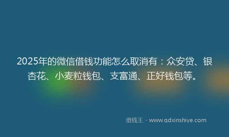 2025年的微信借钱功能怎么取消有：众安贷、银杏花、小麦粒钱包、支富通、正好钱包等。