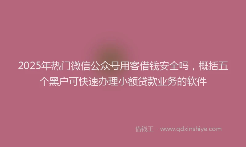 2025年热门微信公众号用客借钱安全吗，概括五个黑户可快速办理小额贷款业务的软件