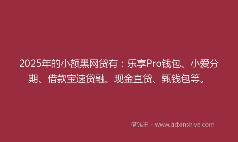 2025年的小额黑网贷有：乐享Pro钱包、小爱分期、借款宝速贷融、现金直贷、甄钱包等。