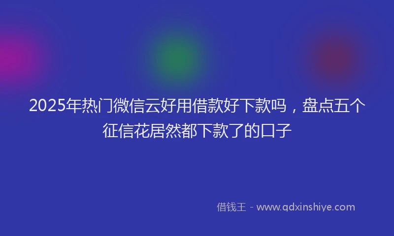 2025年热门微信云好用借款好下款吗，盘点五个征信花居然都下款了的口子