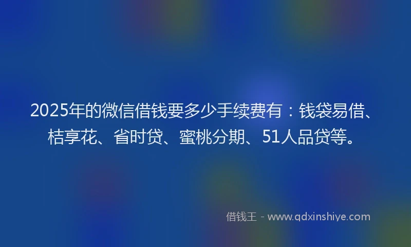2025年的微信借钱要多少手续费有：钱袋易借、桔享花、省时贷、蜜桃分期、51人品贷等。