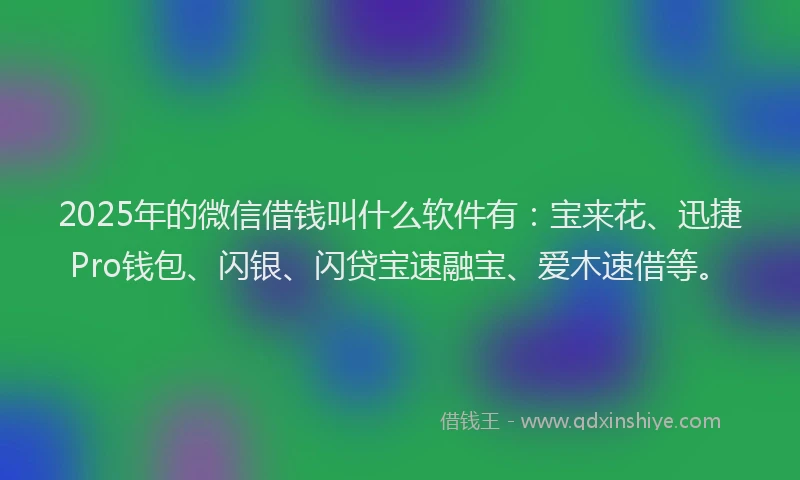 2025年的微信借钱叫什么软件有：宝来花、迅捷Pro钱包、闪银、闪贷宝速融宝、爱木速借等。