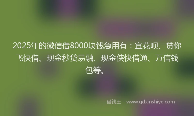 2025年的微信借8000块钱急用有：宜花呗、贷你飞快借、现金秒贷易融、现金侠快借通、万信钱包等。