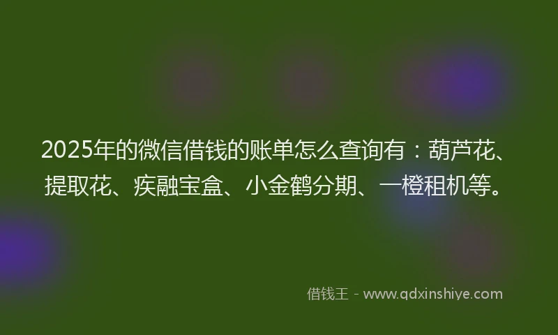 2025年的微信借钱的账单怎么查询有：葫芦花、提取花、疾融宝盒、小金鹤分期、一橙租机等。