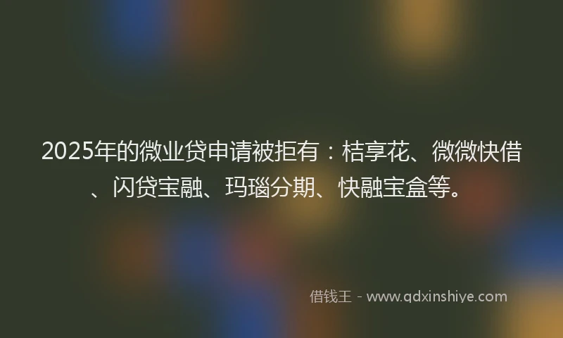 2025年的微业贷申请被拒有：桔享花、微微快借、闪贷宝融、玛瑙分期、快融宝盒等。