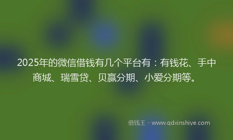 2025年的微信借钱有几个平台有：有钱花、手中商城、瑞雪贷、贝赢分期、小爱分期等。
