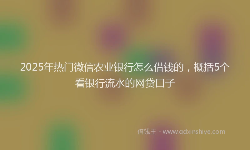 2025年热门微信农业银行怎么借钱的，概括5个看银行流水的网贷口子