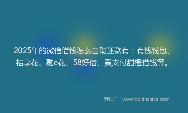 2025年的微信借钱怎么自助还款有：有钱钱包、桔享花、融e花、58好借、翼支付甜橙借钱等。