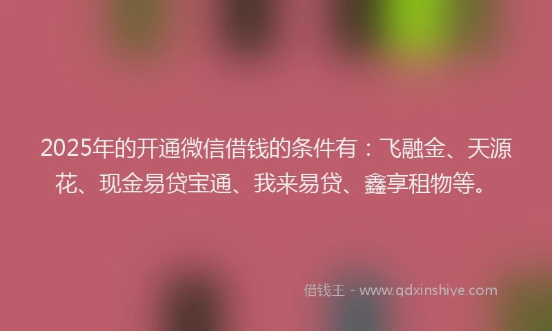 2025年的开通微信借钱的条件有：飞融金、天源花、现金易贷宝通、我来易贷、鑫享租物等。