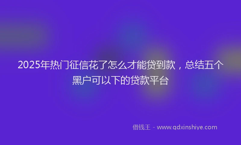 2025年热门征信花了怎么才能贷到款，总结五个黑户可以下的贷款平台
