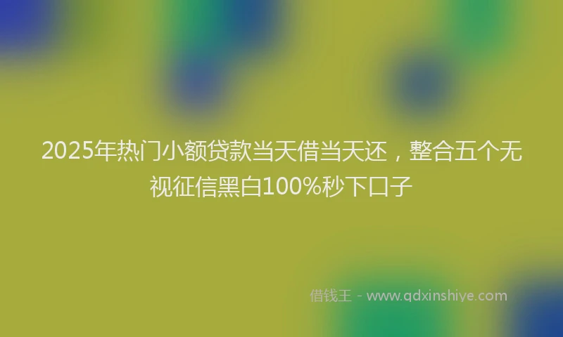 2025年热门小额贷款当天借当天还，整合五个无视征信黑白100%秒下口子