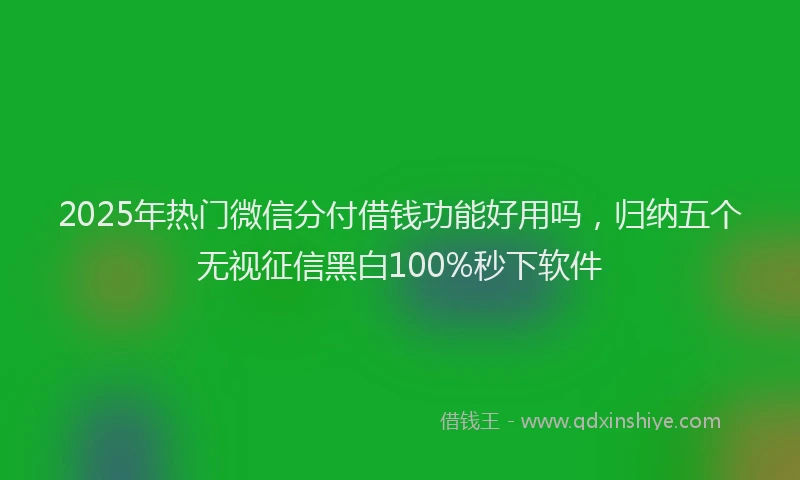 2025年热门微信分付借钱功能好用吗，归纳五个无视征信黑白100%秒下软件