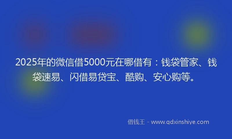 2025年的微信借5000元在哪借有:钱袋管家、钱袋速易、闪借易贷宝、酷购、安心购等。
