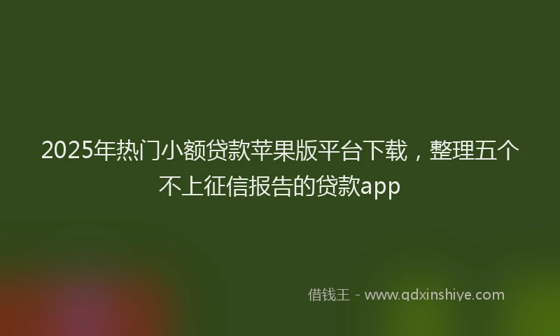 2025年热门小额贷款苹果版平台下载，整理五个不上征信报告的贷款app