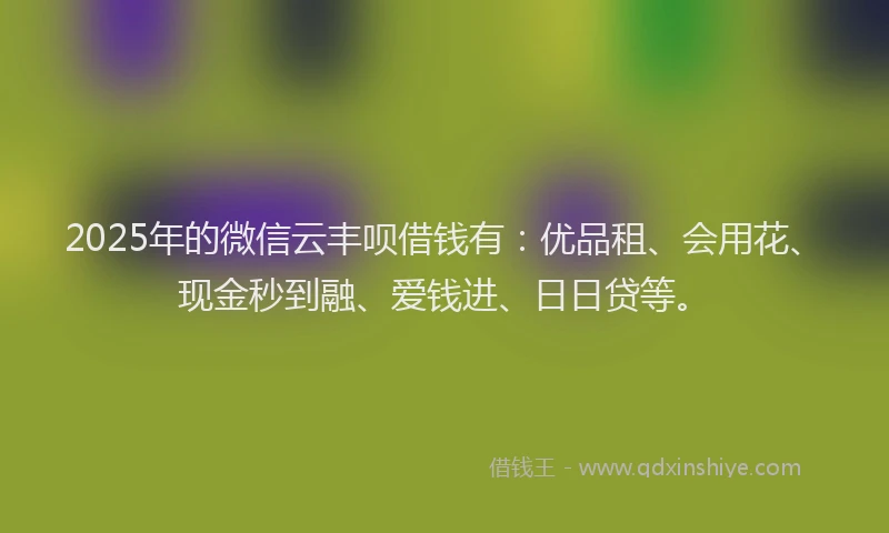 2025年的微信云丰呗借钱有：优品租、会用花、现金秒到融、爱钱进、日日贷等。