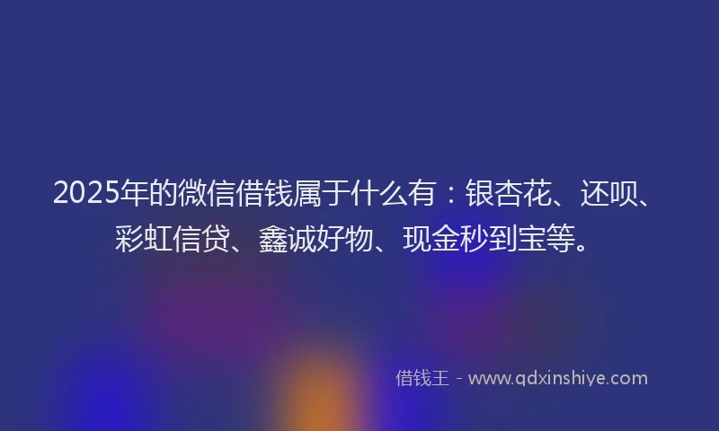 2025年的微信借钱属于什么有：银杏花、还呗、彩虹信贷、鑫诚好物、现金秒到宝等。