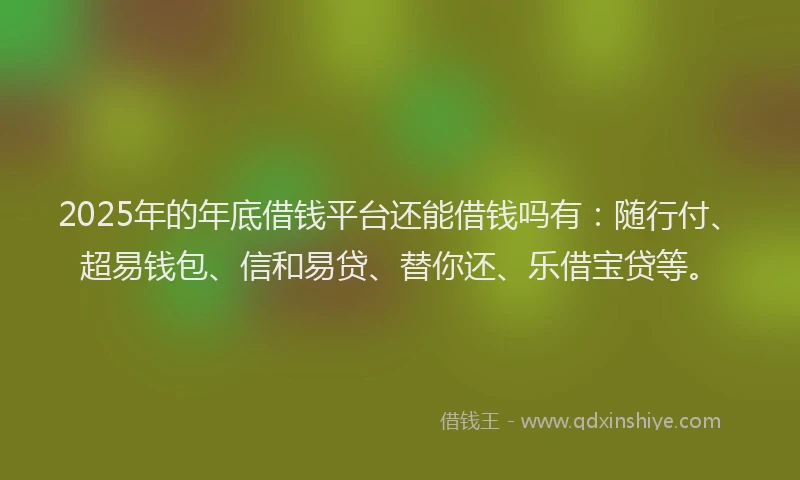 2025年的年底借钱平台还能借钱吗有：随行付、超易钱包、信和易贷、替你还、乐借宝贷等。