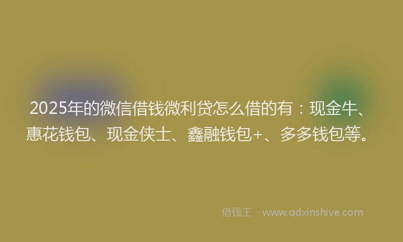 2025年的微信借钱微利贷怎么借的有：现金牛、惠花钱包、现金侠士、鑫融钱包+、多多钱包等。