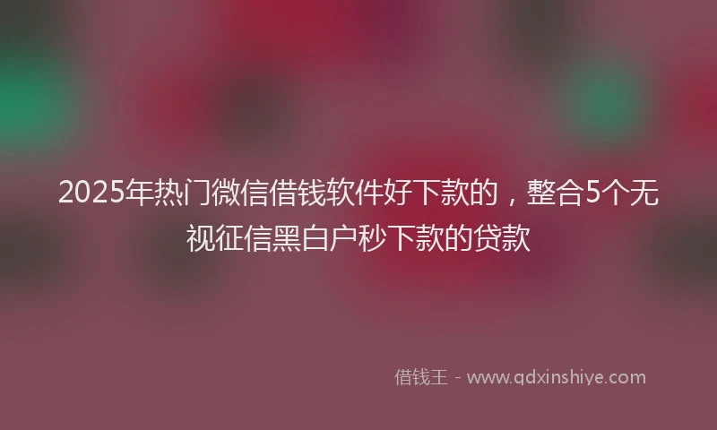 2025年热门微信借钱软件好下款的，整合5个无视征信黑白户秒下款的贷款