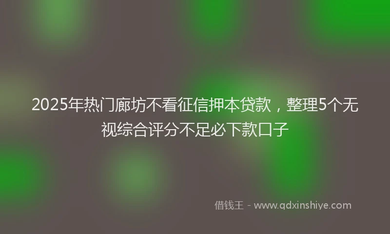 2025年热门廊坊不看征信押本贷款，整理5个无视综合评分不足必下款口子