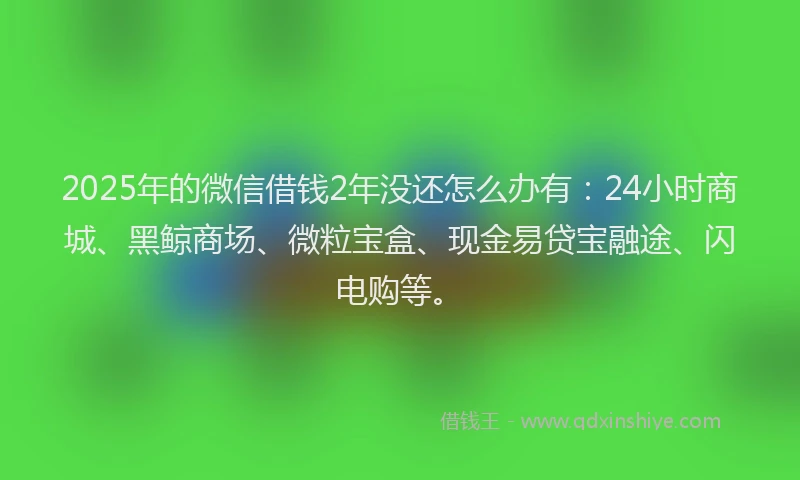 2025年的微信借钱2年没还怎么办有:24小时商城、黑鲸商场、微粒宝盒、现金易贷宝融途、闪电购等。