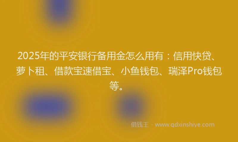 2025年的平安银行备用金怎么用有：信用快贷、萝卜租、借款宝速借宝、小鱼钱包、瑞泽Pro钱包等。