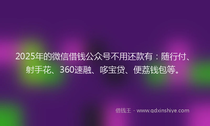 2025年的微信借钱公众号不用还款有：随行付、射手花、360速融、哆宝贷、便荔钱包等。