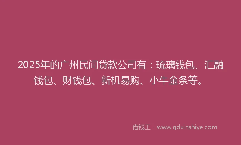 2025年的广州民间贷款公司有：琉璃钱包、汇融钱包、财钱包、新机易购、小牛金条等。