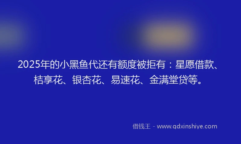 2025年的小黑鱼代还有额度被拒有：星愿借款、桔享花、银杏花、易速花、金满堂贷等。