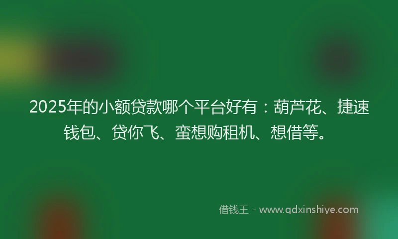 2025年的小额贷款哪个平台好有：葫芦花、捷速钱包、贷你飞、蛮想购租机、想借等。