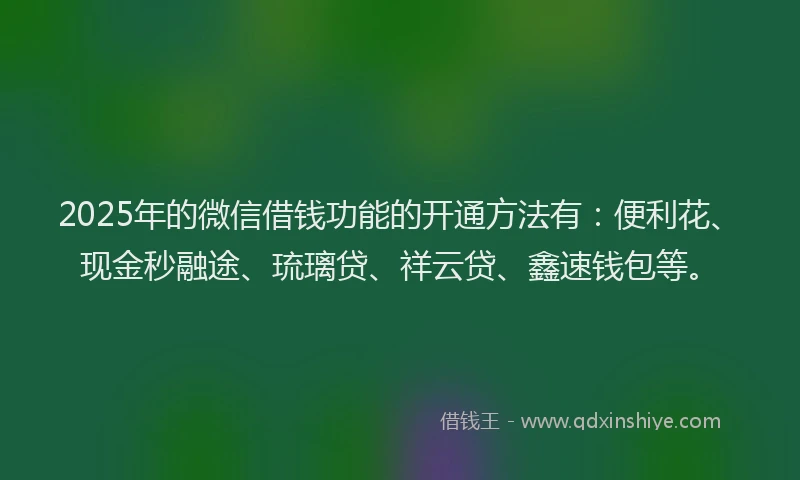 2025年的微信借钱功能的开通方法有：便利花、现金秒融途、琉璃贷、祥云贷、鑫速钱包等。