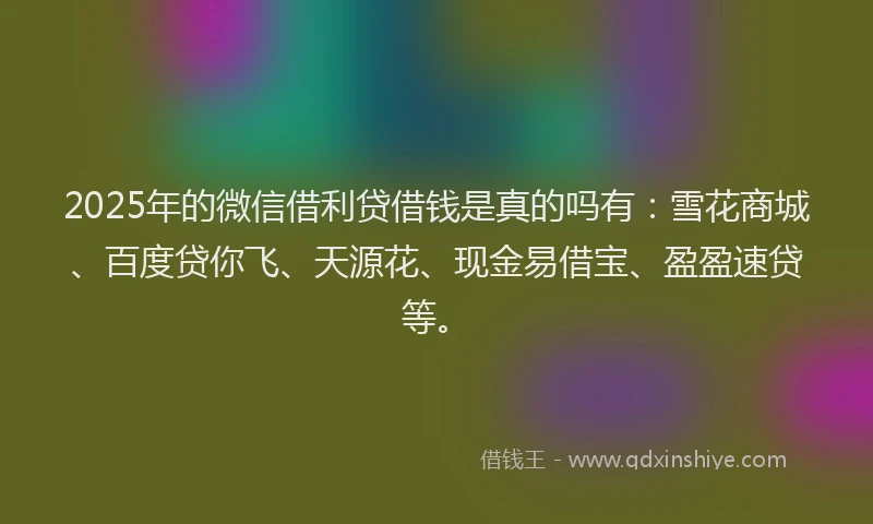 2025年的微信借利贷借钱是真的吗有：雪花商城、百度贷你飞、天源花、现金易借宝、盈盈速贷等。