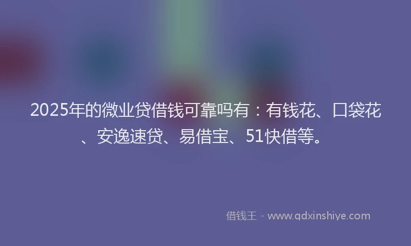 2025年的微业贷借钱可靠吗有：有钱花、口袋花、安逸速贷、易借宝、51快借等。