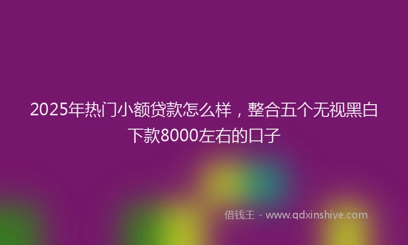 2025年热门小额贷款怎么样，整合五个无视黑白下款8000左右的口子