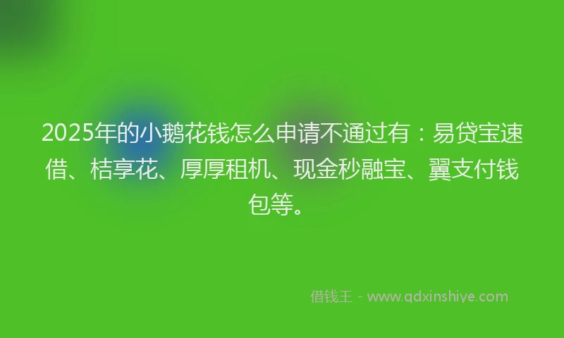 2025年的小鹅花钱怎么申请不通过有：易贷宝速借、桔享花、厚厚租机、现金秒融宝、翼支付钱包等。