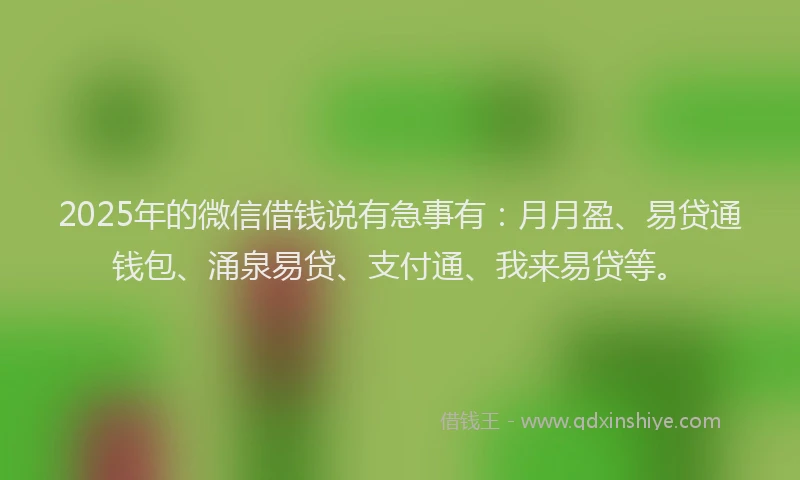 2025年的微信借钱说有急事有：月月盈、易贷通钱包、涌泉易贷、支付通、我来易贷等。