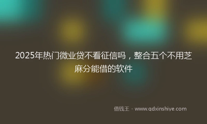 2025年热门微业贷不看征信吗，整合五个不用芝麻分能借的软件