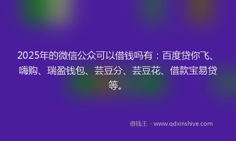 2025年的微信公众可以借钱吗有：百度贷你飞、嗨购、瑞盈钱包、芸豆分、芸豆花、借款宝易贷等。