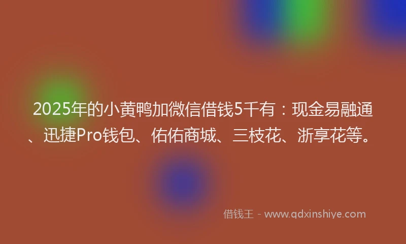 2025年的小黄鸭加微信借钱5千有：现金易融通、迅捷Pro钱包、佑佑商城、三枝花、浙享花等。